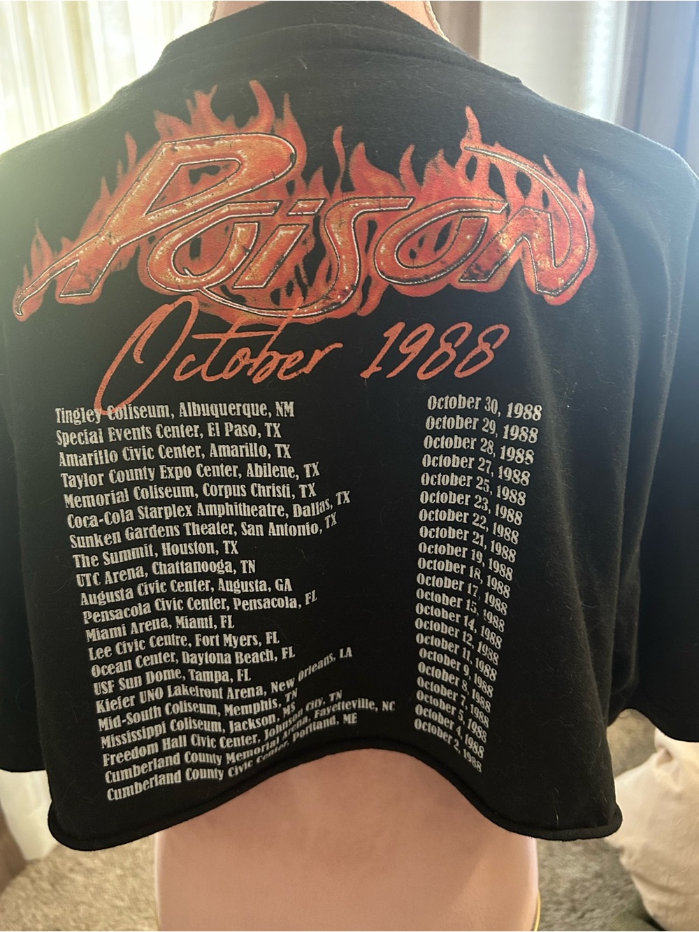 Poison graphic T - crop oversized
